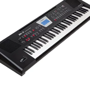 Roland BK-3