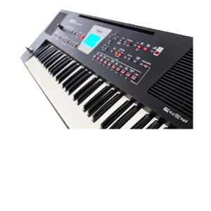 music assistant