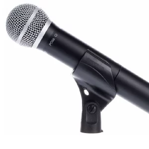 Dual Vocal