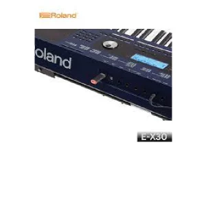 E-X30