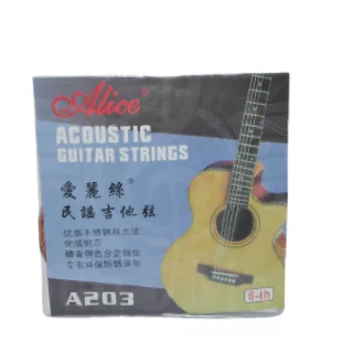 No. 6 Acoustic