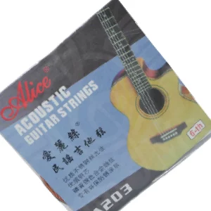 No. 6 Acoustic