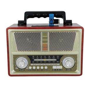 Portable Bluetooth Radio Speaker