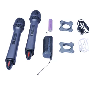 Professional wireless mic with receiver