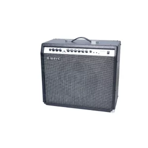 PAN 60 guitar amp