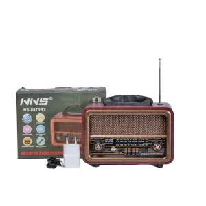 Portable radio speaker
