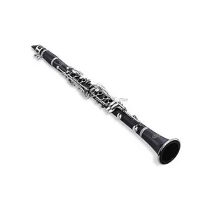 Premier Clarine