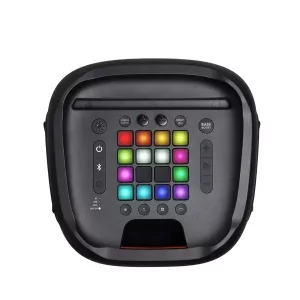 Portable Speaker