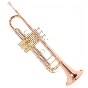 brass instrument