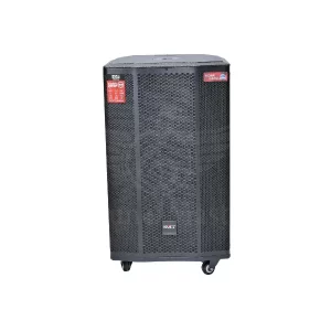 Temeisheng 15 INCH