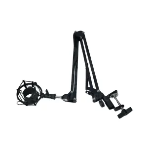 Heavy duty mic stand with shock mount