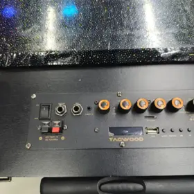 Tagwood 15 inch PA system Kenya