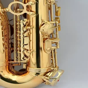 Zeff saxophone tenor