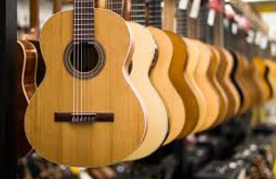 The Evolution of the Guitar