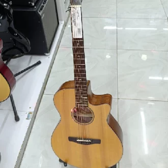 Ibanez AEG200