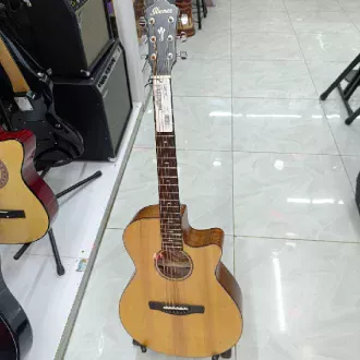 Ibanez AEG200 Acoustic