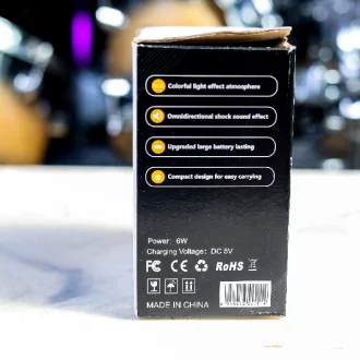 Bluetooth Speaker with 2 Karaoke Mics