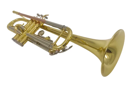 Musical instrument