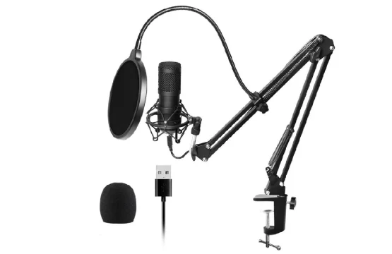mic and stand