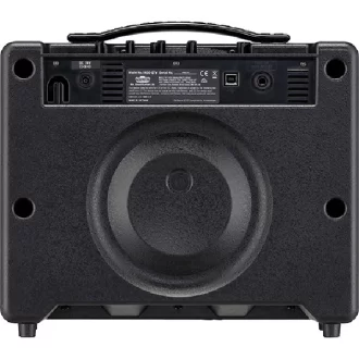 8-inch guitar speaker amp