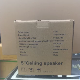 Tolaye 5 Ceiling Speaker