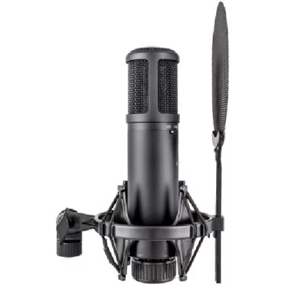 large-diaphragm condenser microphone