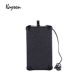 Kaysen combo amp